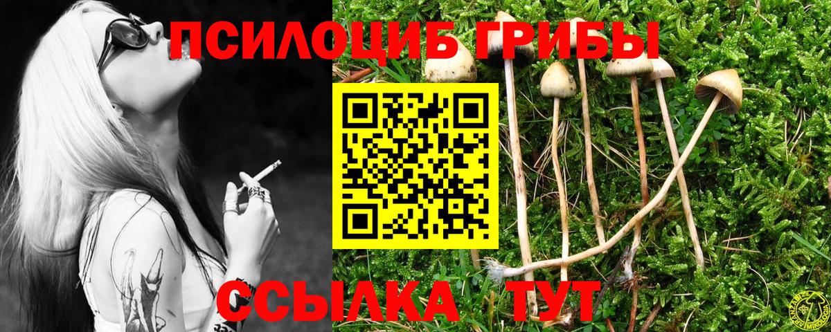 Псилоцибиновые грибы Magic Shrooms Краснознаменск
