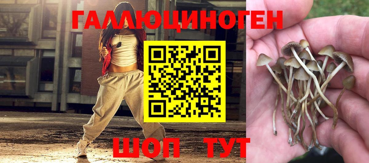 Галлюциногенные грибы мухоморы  Вход с VPN  Краснознаменск  Псилоцибиновые грибы Psilocybe 
